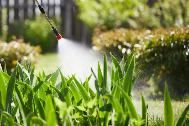 24/7 Emergency Cockroach Control experts in Itta Bena, MS